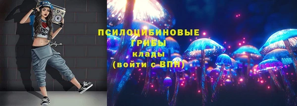 прущие грибы Карпинск