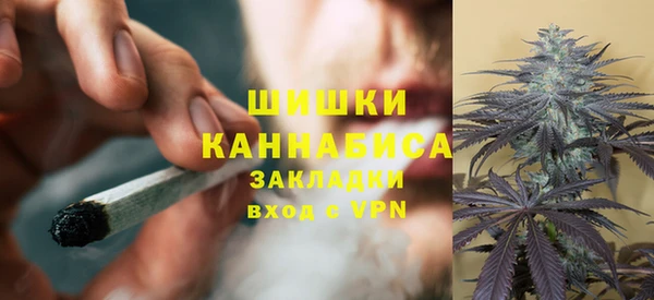 прущие грибы Карпинск