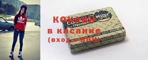 прущие грибы Карпинск