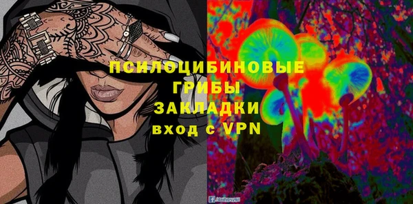 прущие грибы Карпинск