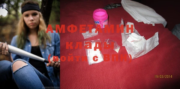 прущие грибы Карпинск