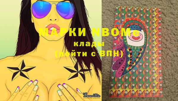 прущие грибы Карпинск
