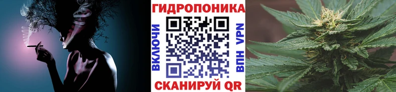 Бошки Шишки VHQ  Купить  Железногорск-Илимский 
